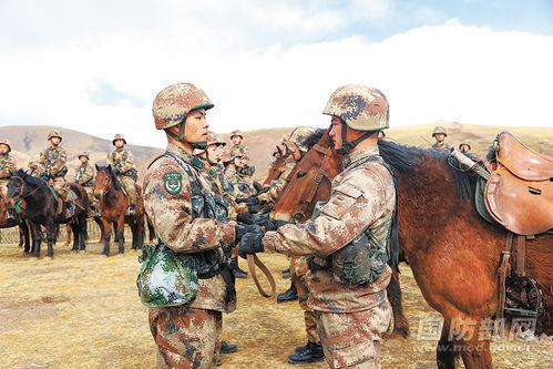 在线骑兵观看区